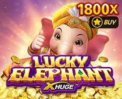 Lucky Elephant X-Huge - SUMMER138